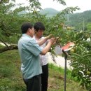 윤종석농장 이미지