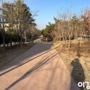 뽀삐애견샵 이미지