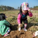 중산농원 이미지