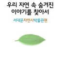 서대문자연사박물관 편 [우리 자연 속 숨겨진 이야기를 찾아서] /12월 8일(토)/ 8-10세반 이미지