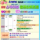스카이뷰 이미지