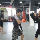 팀레드주짓수&MMA