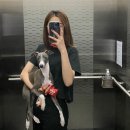 상희독스 아카데미 이미지