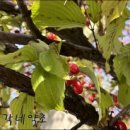 이명은 농장 이미지