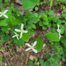 차향만당 이미지