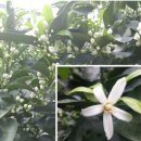 오명석농장 이미지