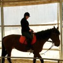 인천남동승마클럽 이미지