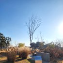 평화의공원 주차장입구 횡단보도 맞은편 | 화성 실내 아이랑 가볼만한곳 매향리평화기념관 매향리평화생태공원