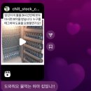 락희약국 네이버블로그