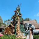 비앙카 | 면세점 헬렌카민스키 비앙카 블랙 구매후기 착샷 가격