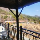 토브하르 이미지