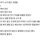 법사위 전현희의원 &#34;현재 청주공항에 폭발 임무, 사드기지 테러 임무 맡은 블랙요원 있고 소요를 일으킬 목적으로 팀별로 무기 지급, 권총 이미지