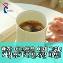 평온한 마음,품격있는 삶의 지혜 | 거창유기 세라유 머그컵, 삶의 질 높이는 한 잔의 품격