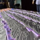 퍼스트태권도&점핑클럽 이미지