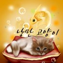 낭만고양이 이미지