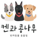 켄과콩나무 이미지