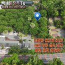 대로변 접근성 최고! 제주시 조천읍 선흘리 넓은 부지의 숲속 힐링 야영장 매매 이미지