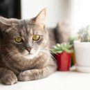 묘한호텔 이미지