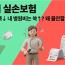 제일당약국 | 5세대 실손보험, 보험료는 내려가는데 왜 불안할까? 사용자 입장에서 꼭 알아야 할 핵심 변화