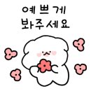 강아지 유치원 caredogs 이미지