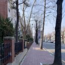 족발시장 이미지