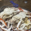 꽃게가찜했어 이미지