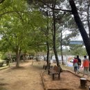 해양공원길 이미지