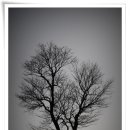 기종목장 이미지