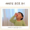 쓰담 | 두돌아기 영양제 배배쓰담 돌아기유산균 후기