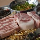 우연상회 이미지