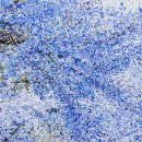 치유공간 이미지