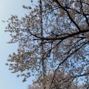 옥천톨게이트주유소 이미지