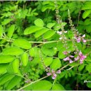 백화산호국의길 이미지