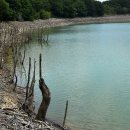 화산목장 이미지