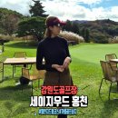 챌린지 호텔 | 가을골프성지 세이지우드 홍천 10월 라운딩 후기 (챌린지-드림 코스)