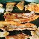 씨네밸리 Daum카페