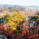 정안요양병원 이미지