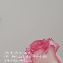 내인생의 봄날 이미지