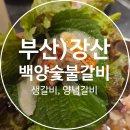 장산갈비 | 해운대 장산 좌동 가성비 갈비 맛집 백양숯불갈비 장산점 재방문 생갈비 맛있게 먹은 후기