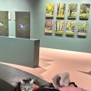 P-7728 | 오랜만에 서울 _ 2