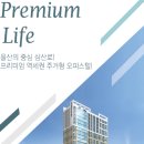 삼산로 네이버블로그