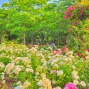 연수구청분수대 이미지