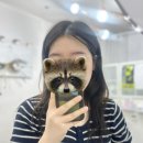 모나리자 | 마두역 눈썹왁싱 잘하는 곳, 모나리자 눈썹왁싱 솔직 후기