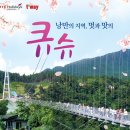 제이티비 이미지