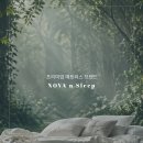 [대구 가구쇼] 침대 매트리스 계의 숨은 강자 노바앤슬립 다녀온 후기!