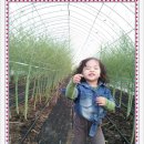 서율농장 이미지