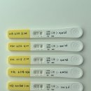 삼신약품 | 01. 임신준비~임테기 확인 / 임신 극초기 증상 / 4주차 피검사 후기 / 임신에 도움이 됐던 것들