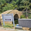 창녕경남의원 | 경남벚꽃명소 창녕가볼만한곳 수양벚꽃 영산만년교 여름데이트 , 벚꽃개화시기는