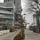 쌍용극동아파트 이미지