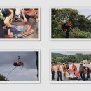 수정-119 이미지